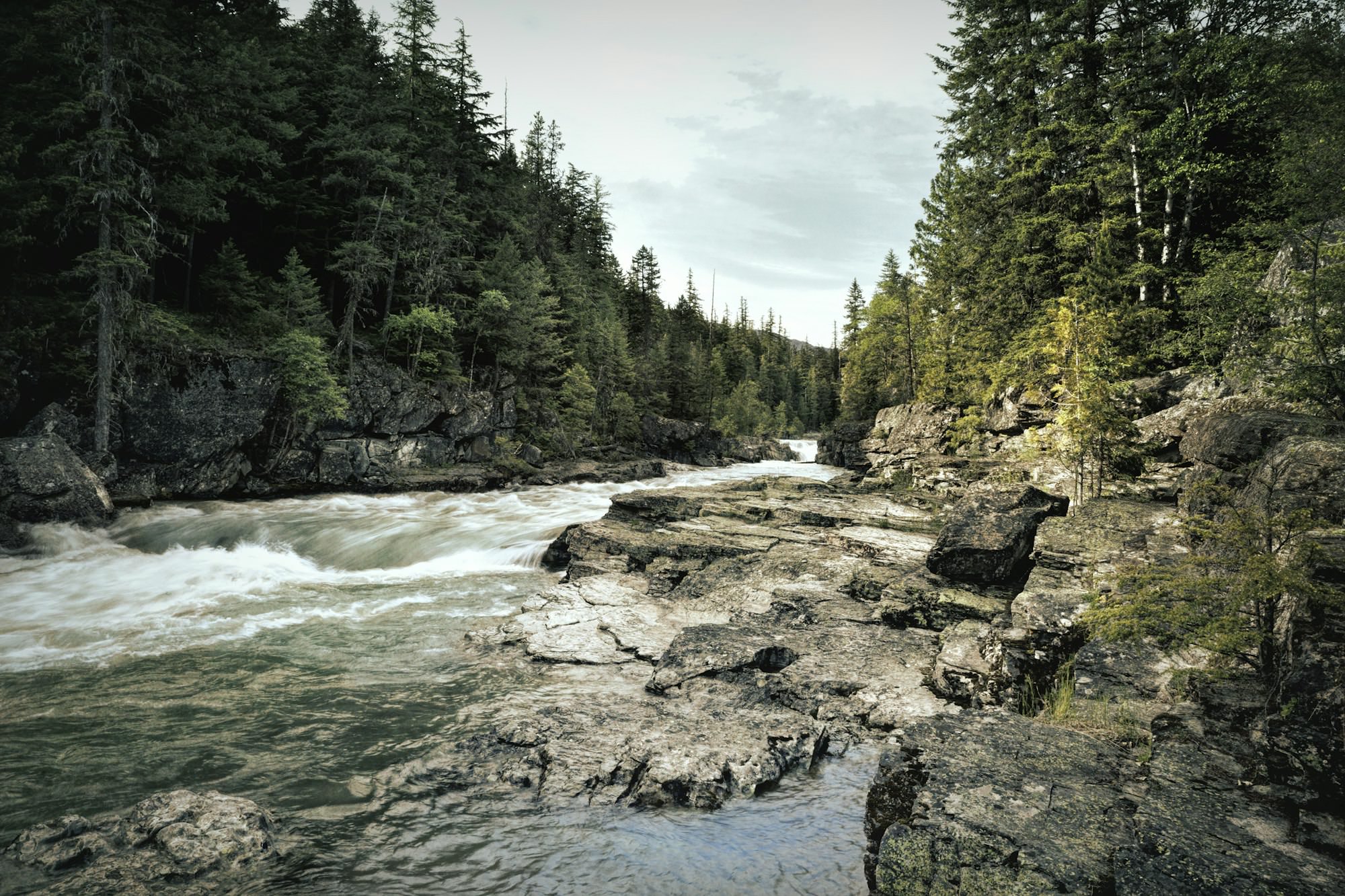 Rushing water of Avalanche Creek in Glacier National Park